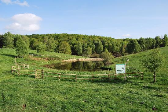 Estany del Coll restaurat
