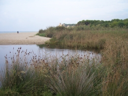 Desembocadura del riu Gaià (Tarragona)